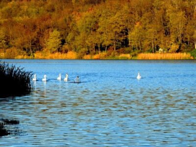JEZERO „BRUJE“ - ERDEVIK