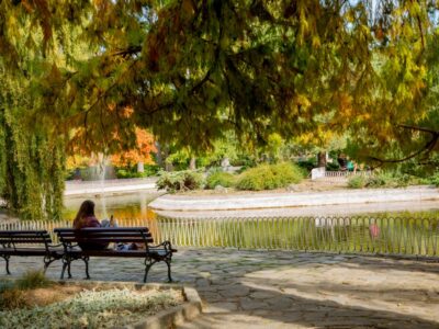 DUNAVSKI PARK - Novi Sad
