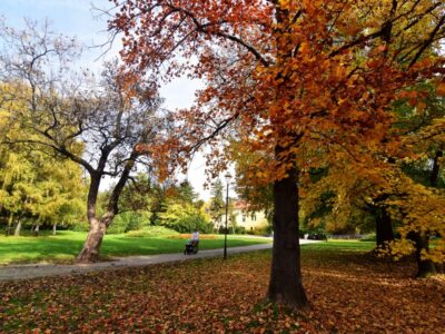 FUTOŠKI PARK - Novi Sad