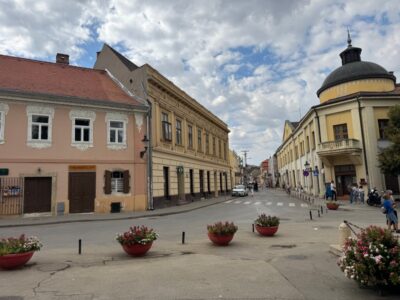 TRG BRANKA RADIČEVIĆA - Sremski Karlovci