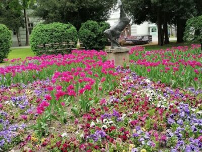 SPOMENIK PRIRODE „ŽUPANIJSKI PARK U ZRENjANINU“