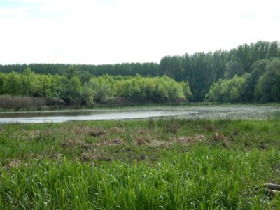 СПЕЦИЈАЛНИ РЕЗЕРВАТ ПРИРОДЕ „РИТОВИ ДОЊЕГ ПОТИСЈА“