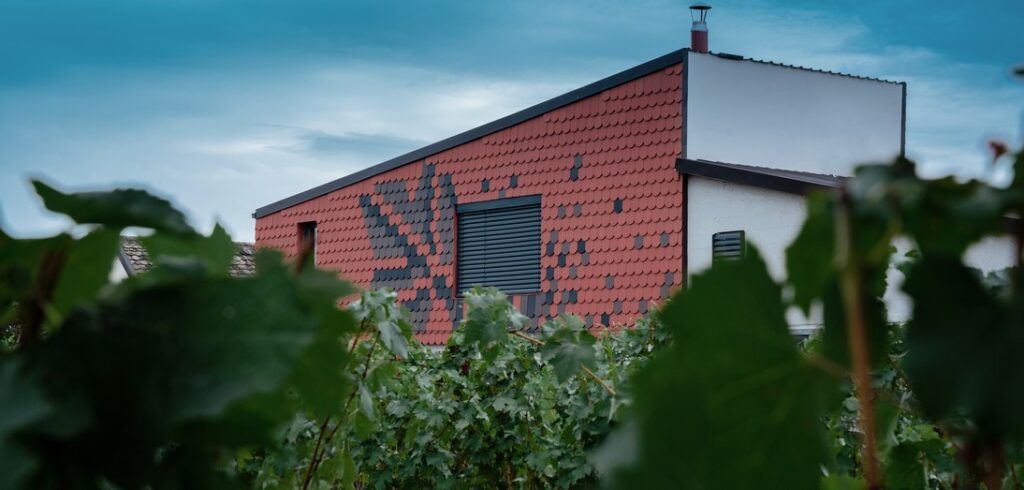 VINARIJA TRI MEĐE I OBLAK – NEŠTIN