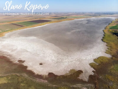 "SLANO KOPOVO" SPECIAL NATURE RESERVE - Novi Bečej