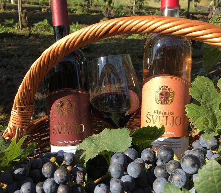 VINARIJA ŠVELJO - RIĐICA