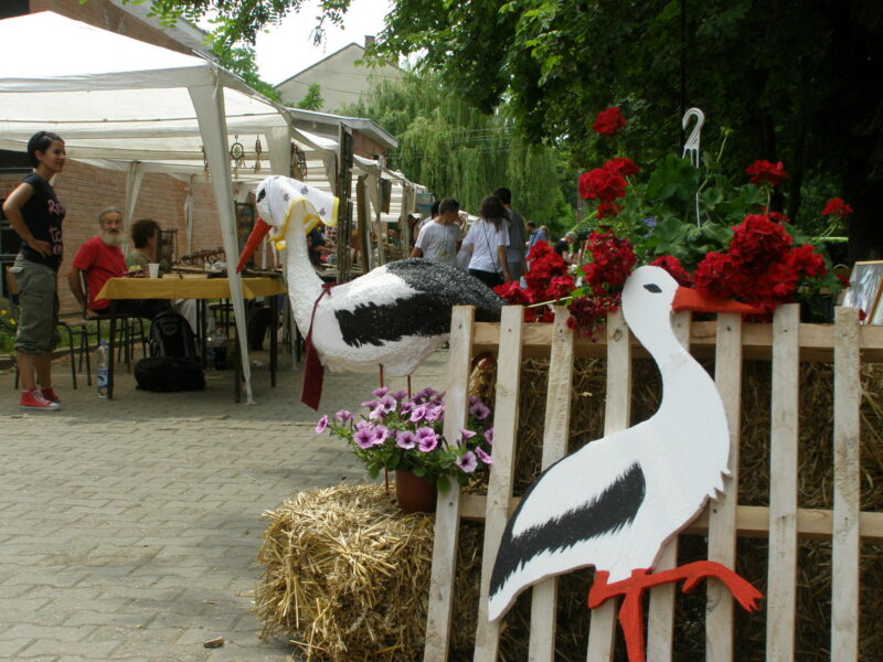 Days of Taraš Storks - Taraš