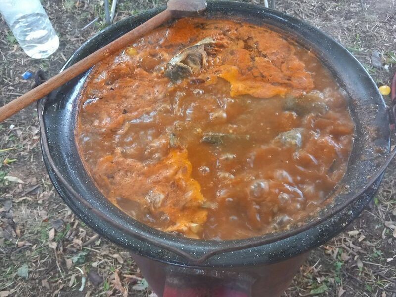 ГАЈАЧКИ КОТЛИЋ - Гај