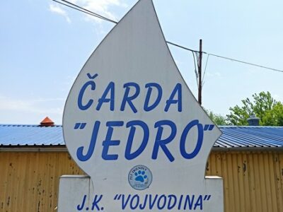 ČARDA JEDRO - NOVI SAD