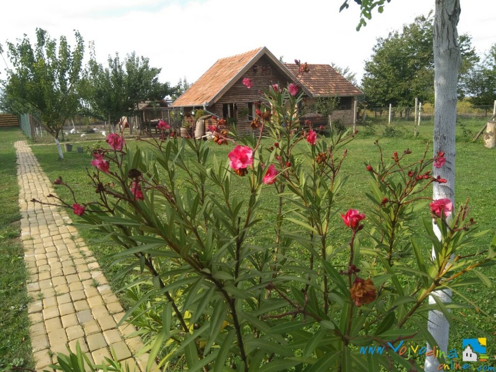 SAŠA’S GRANGE – Rumenka