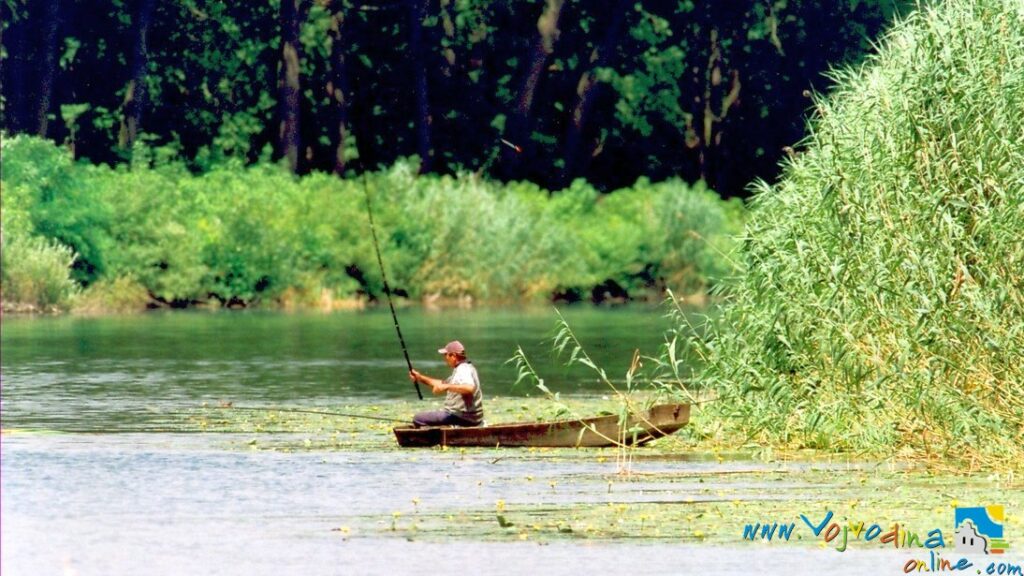 BAJA CANAL – Bački Breg