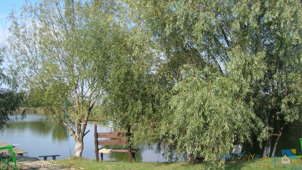 ČARDA “TIHA TISA” – Čurug