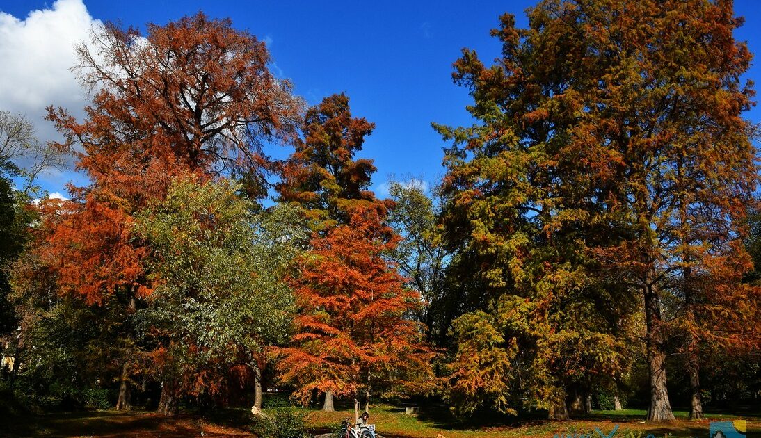 FUTOŠKI PARK - Novi Sad