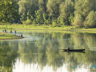 CANOE ADVENTURE THROUGH "KOVILJSKO-PETROVARADINSKI RIT"