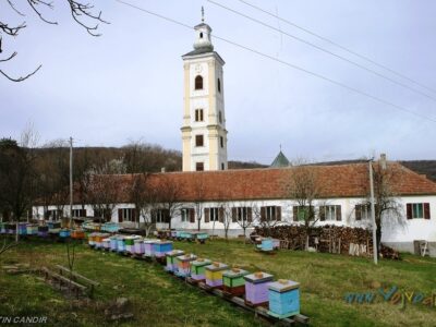 MANASTIR VELIKA REMETA - Velika Remeta