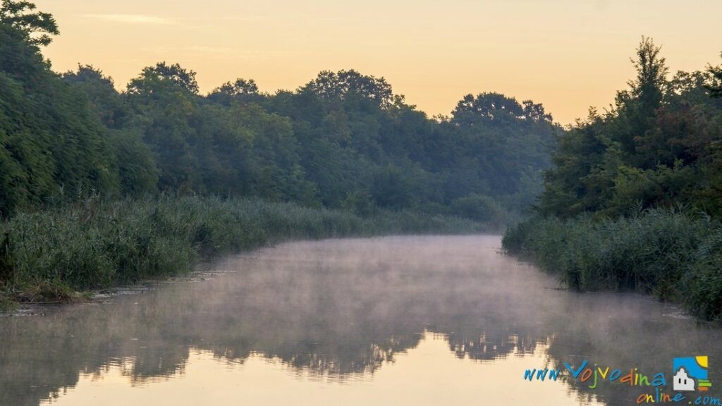 MONOŠTORSKI MARSH – Sombor