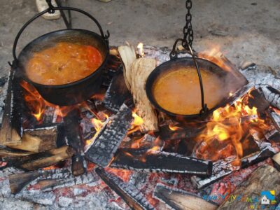 RIBLjI RESTORAN "DROZD" - Jarak
