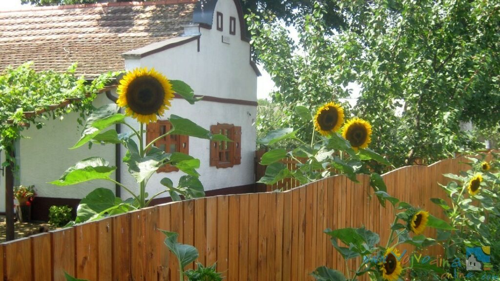 SALAŠ “ISAILOVI” – Sremska Mitrovica