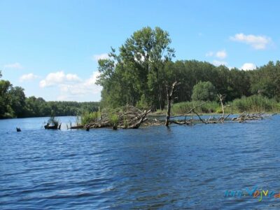 СПЕЦИЈАЛНИ РЕЗЕРВАТ ПРИРОДЕ „ГОРЊЕ ПОДУНАВЉЕ“ - ЈП „Војводинашуме“