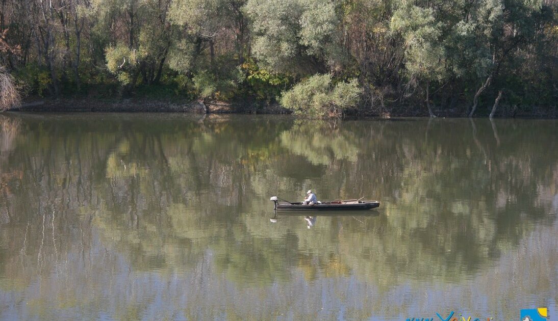 STARI PARK - Novi Kneževac