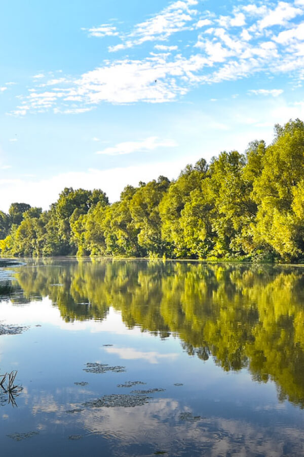 Dunav
