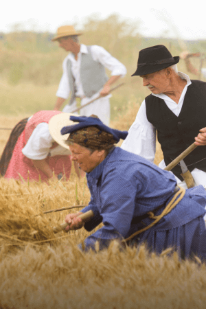 Događaji