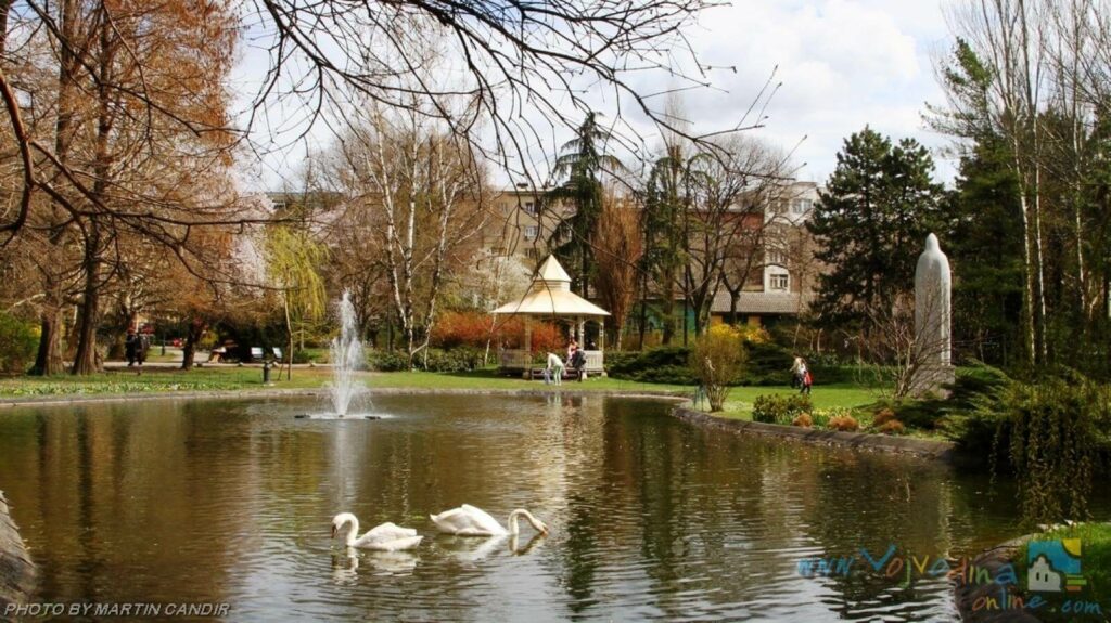tov-novi-sad-gallery-1