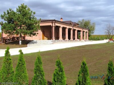 ВИНАРИЈА "МИЛАНОВИЋ" - Сурдук