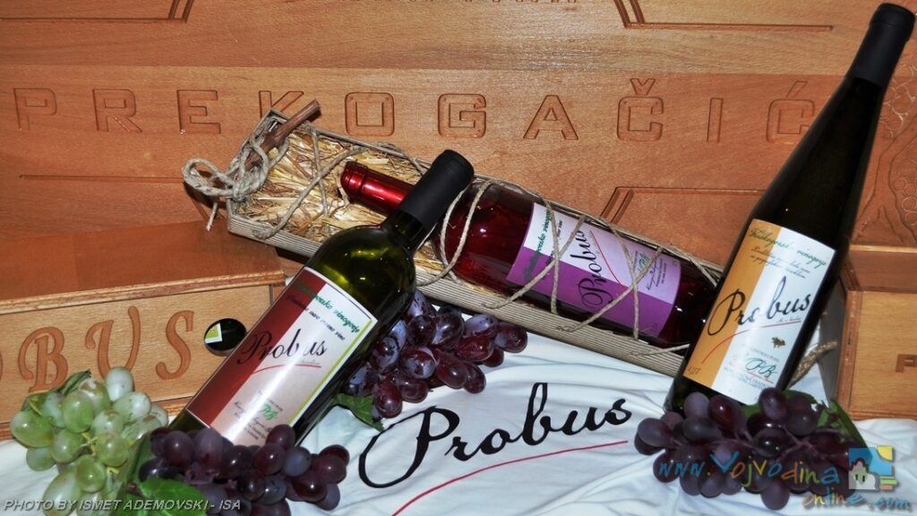 THE WINERY “PREKOGAČIĆ” – Beočin