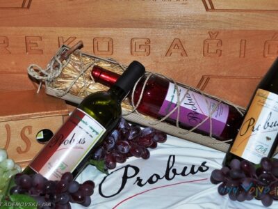 VINARIJA "PREKOGAČIĆ" - Beočin