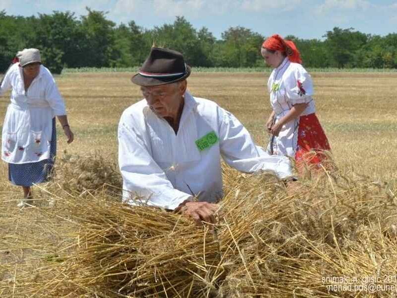 ЖЕТЕЛАЧКЕ СВЕЧАНОСТИ - Мужља