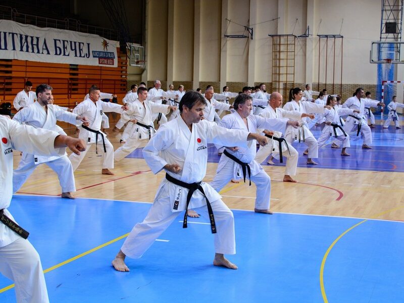 GASSHUKU BEČEJ 2026, MEĐUNARODNI KARATE KAMP - Bečej