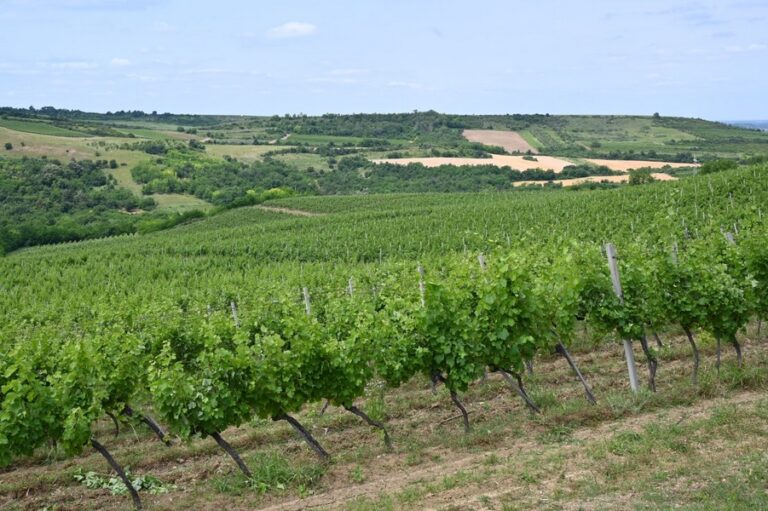 Galerija slika 4
