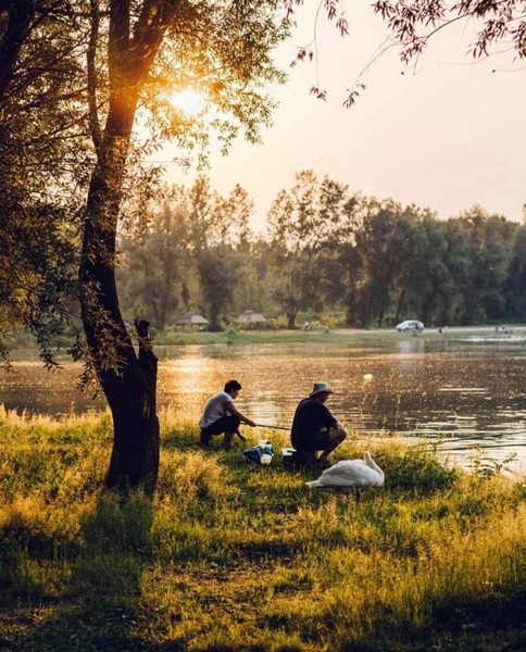 BAGER - Bačka Palanka