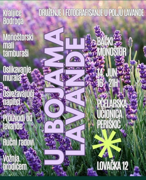 The Colors of Lavender – Bački Monoštor